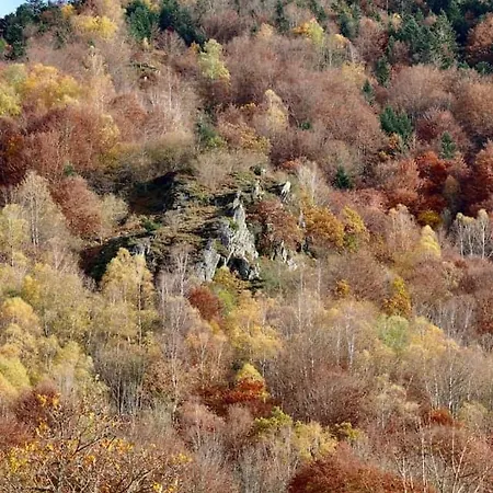 Σπίτι διακοπών La Bergerie *