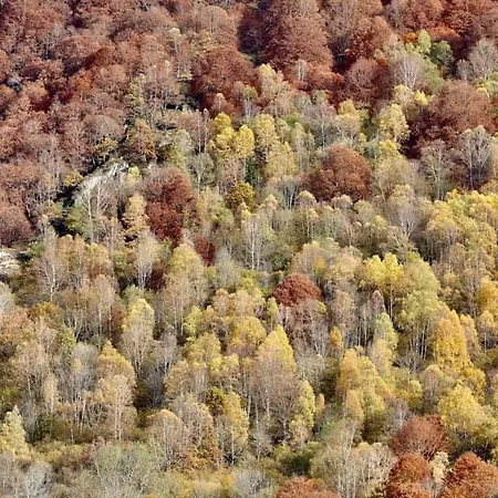 別荘 La Bergerie *