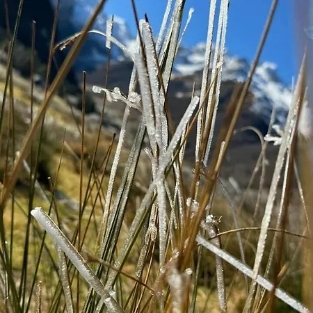 La Bergerie 別荘 *