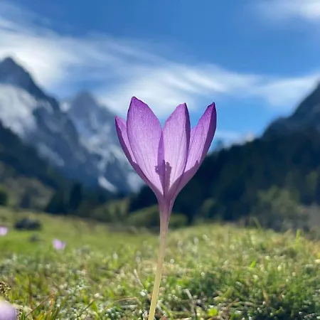 La Bergerie Σπίτι διακοπών Estaing (Hautes-Pyrenees)